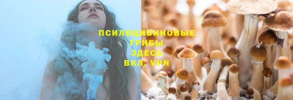 Альфа ПВП Алзамай